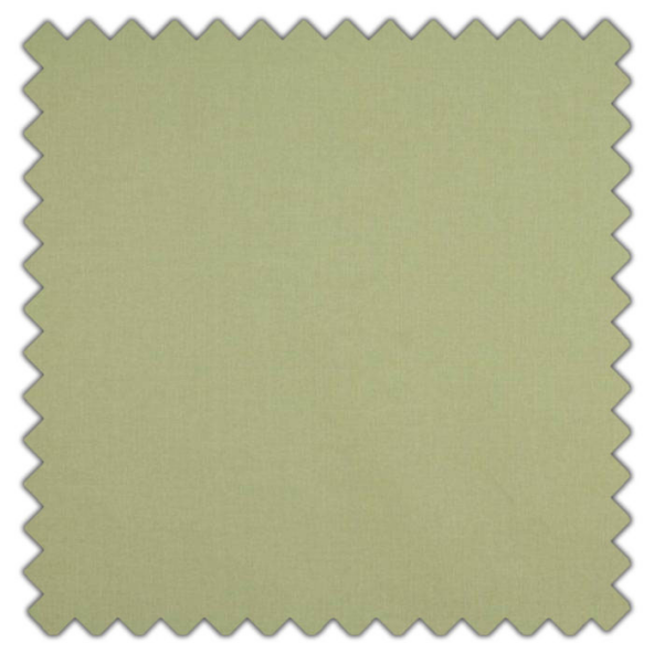 Swatch of Cole Pistachio by Ashley Wilde