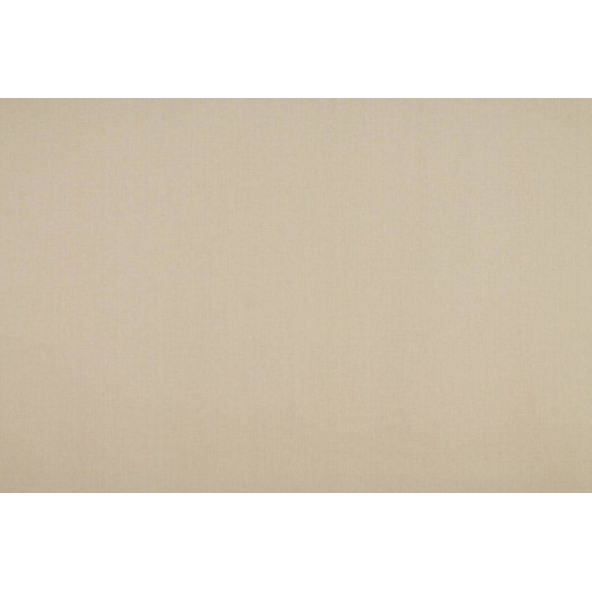 Cole Shell Fabric by Ashley Wilde