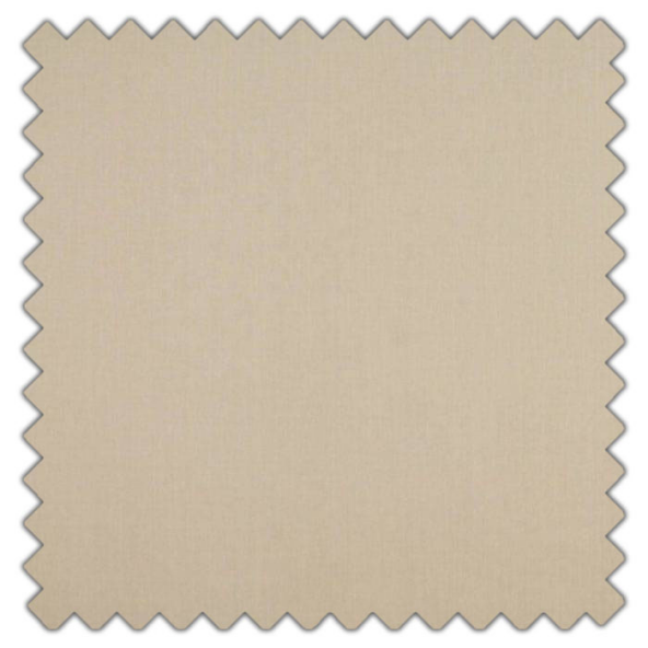 Swatch of Cole Shell by Ashley Wilde