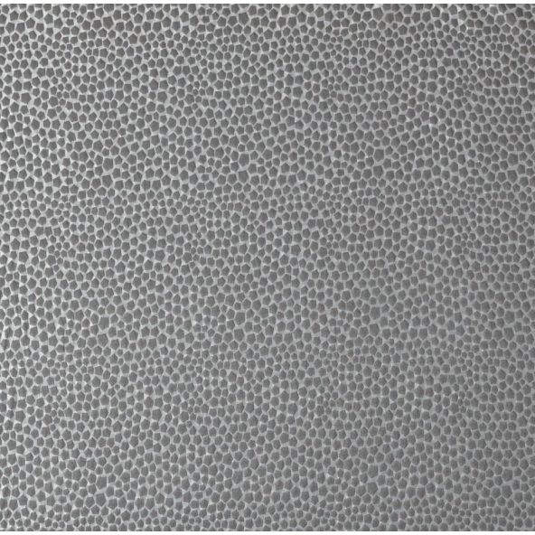 Taurus Graphite Fabric by Ashley Wilde