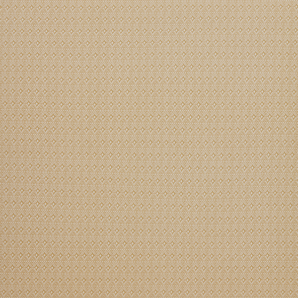 Aztec Ochre Fabric Flat Image