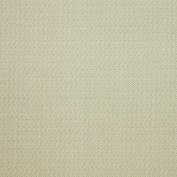 Aztec Pampas Fabric Flat Image