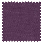 Nantucket Violet