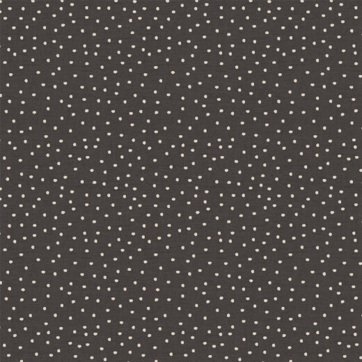 Roman Blind Spotty Ebony