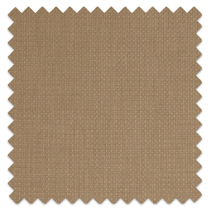 Swatch of Caro Honey