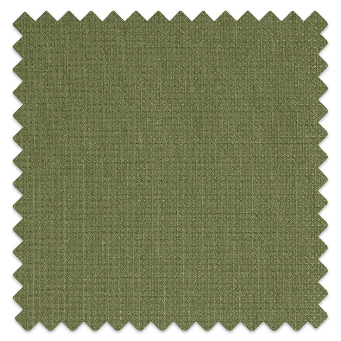 Swatch of Caro Spruce