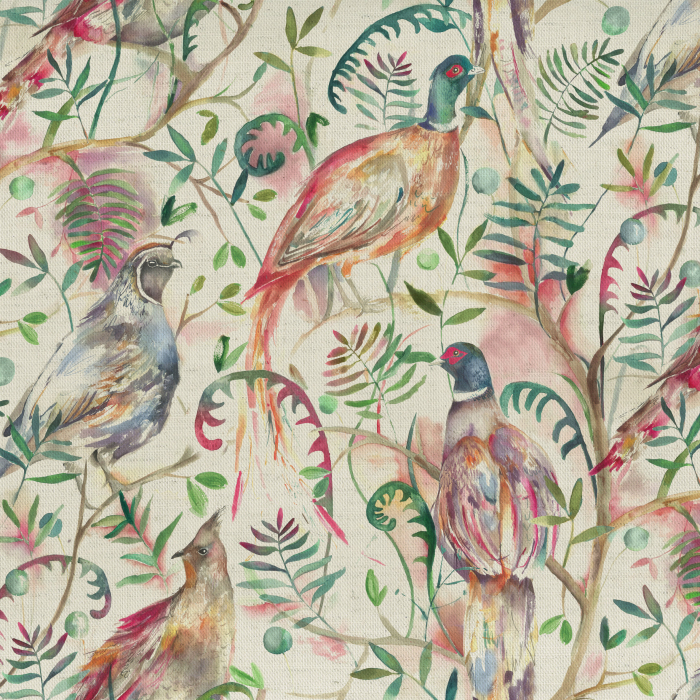 Image of graystoke fig by Voyage