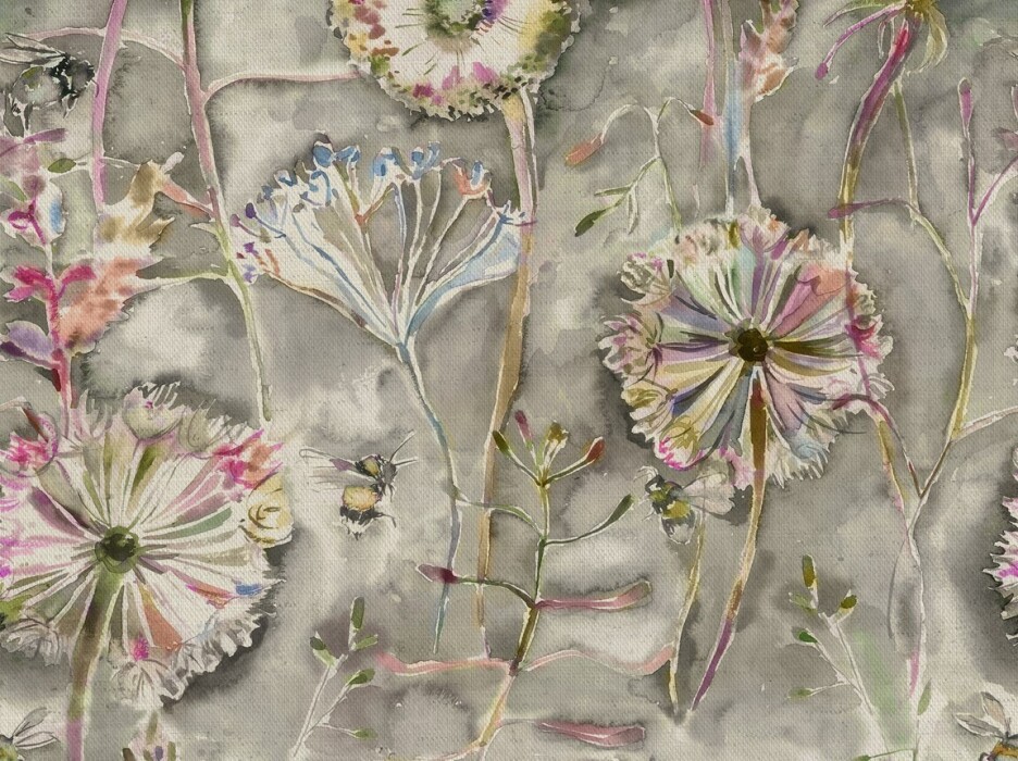 Image of langdale orchid by Voyage