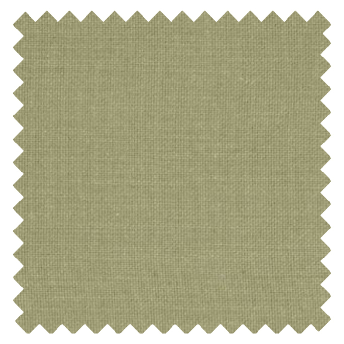 Nantucket Olive
