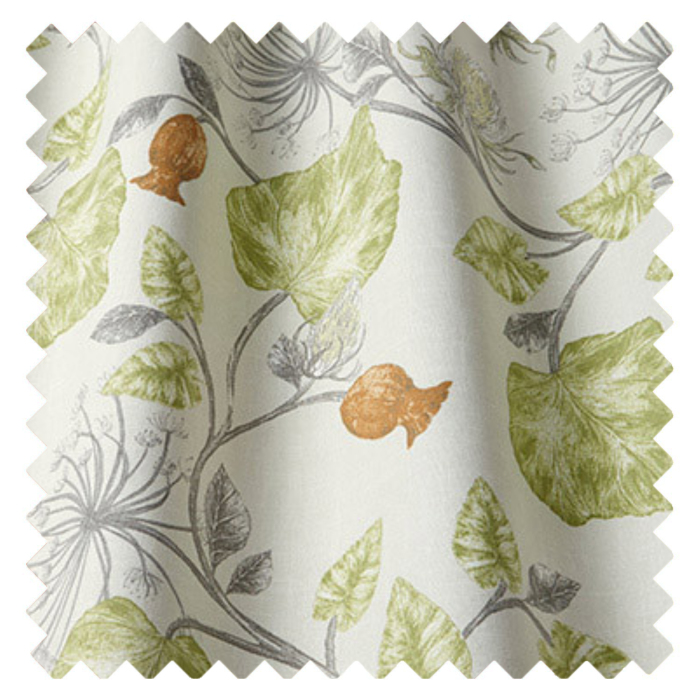 Swatch of Parchment Fern