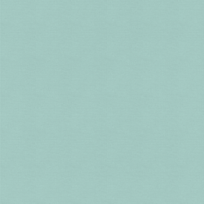 Ray Mineral Fabric Sample