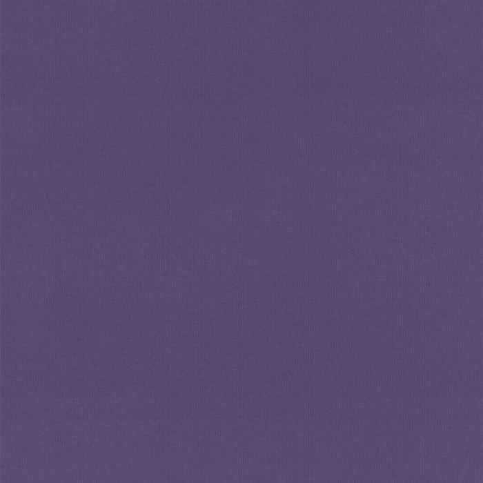 Ray Plum Fabric Sample