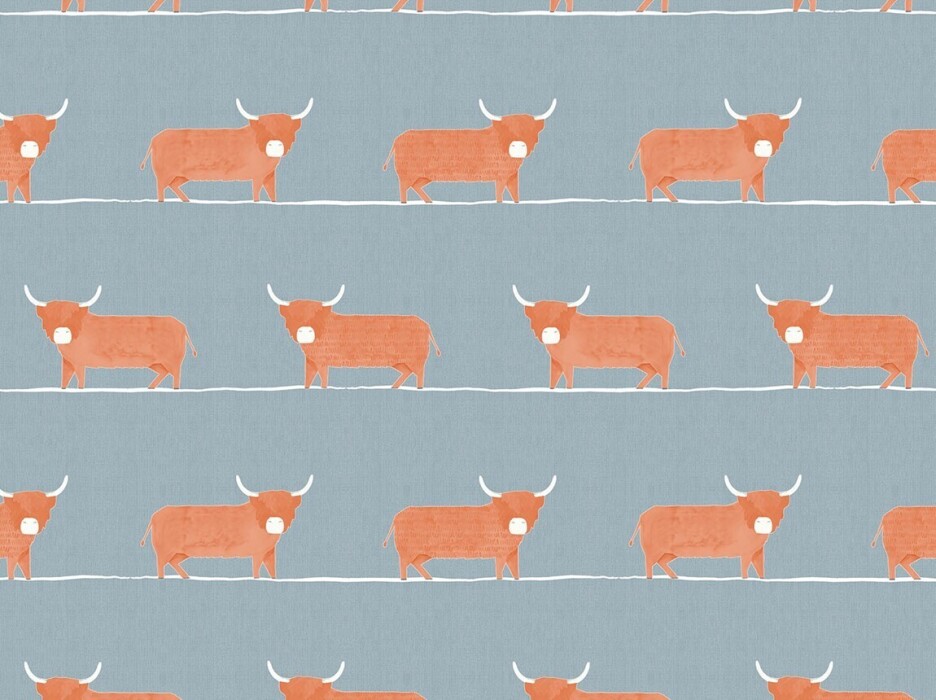 Image of dougal cornflower by Voyage