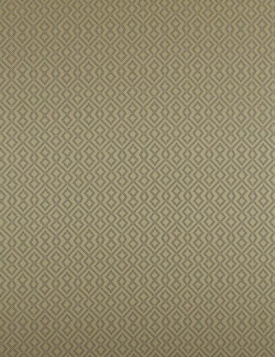 Draco Gold Fabric