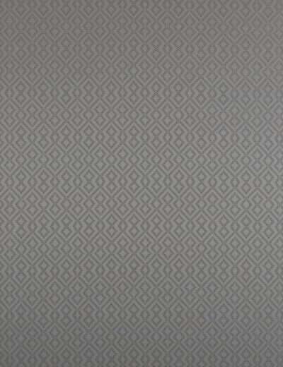 Draco Graphite Fabric