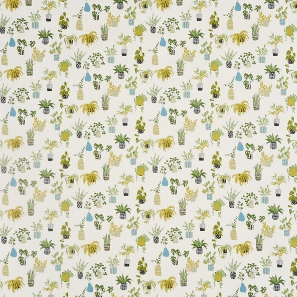 Pot Plants Greenhouse Fabric