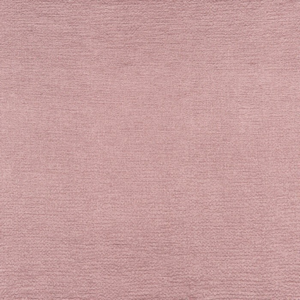 Secret Shell Fabric Flat Image