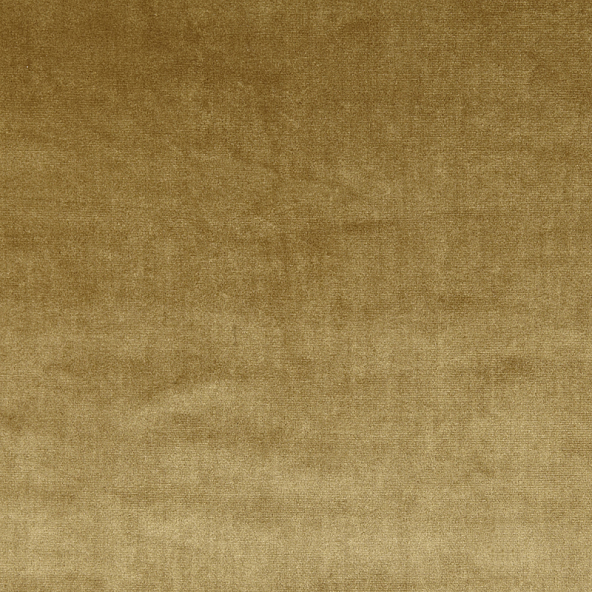Velour Gold Fabric