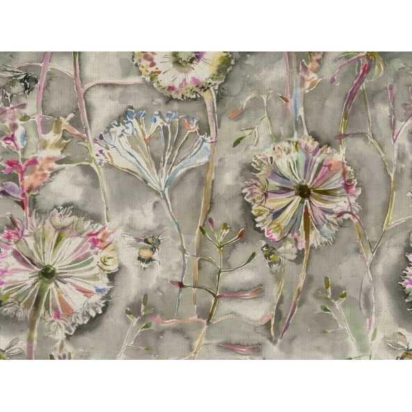 Image of langdale orchid by Voyage