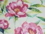 Image of earnley peony by Voyage