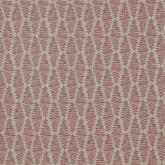 Image of Fernia dusty pink by iLiv