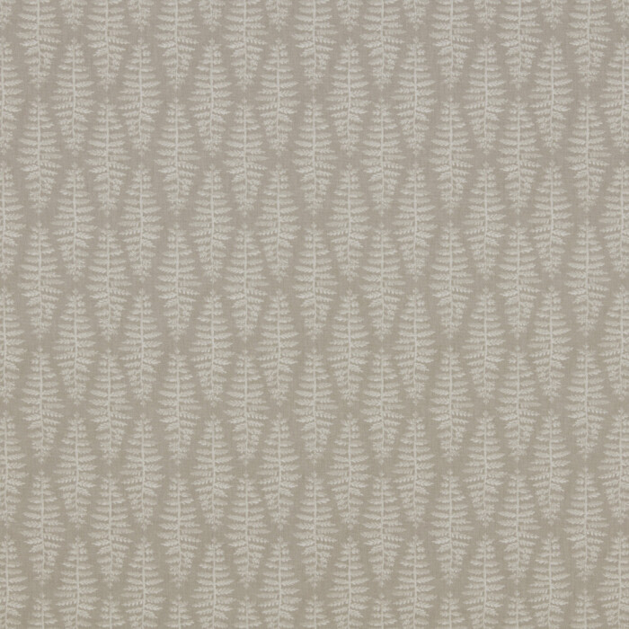 Image of Fernia mushroom by iLiv