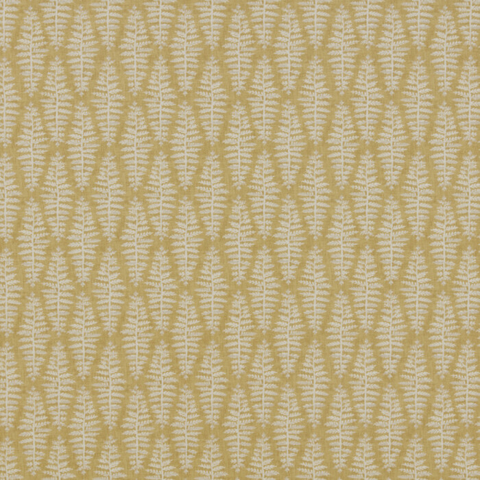 Image of Fernia mustard by iLiv