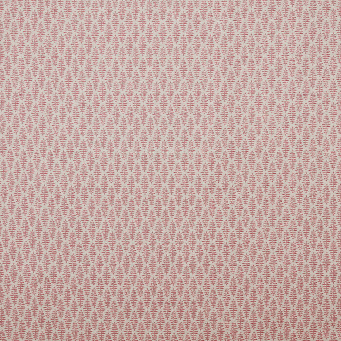 Image of Fia rosa by iLiv