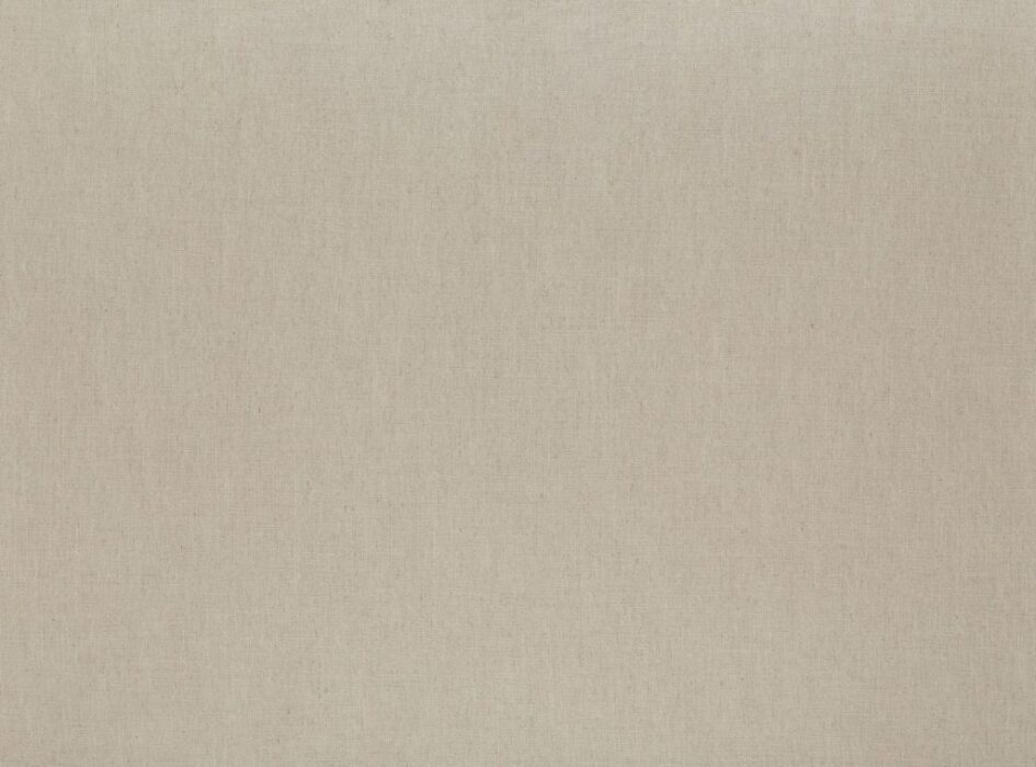 Image of Florenzo fawn by Ashley Wilde