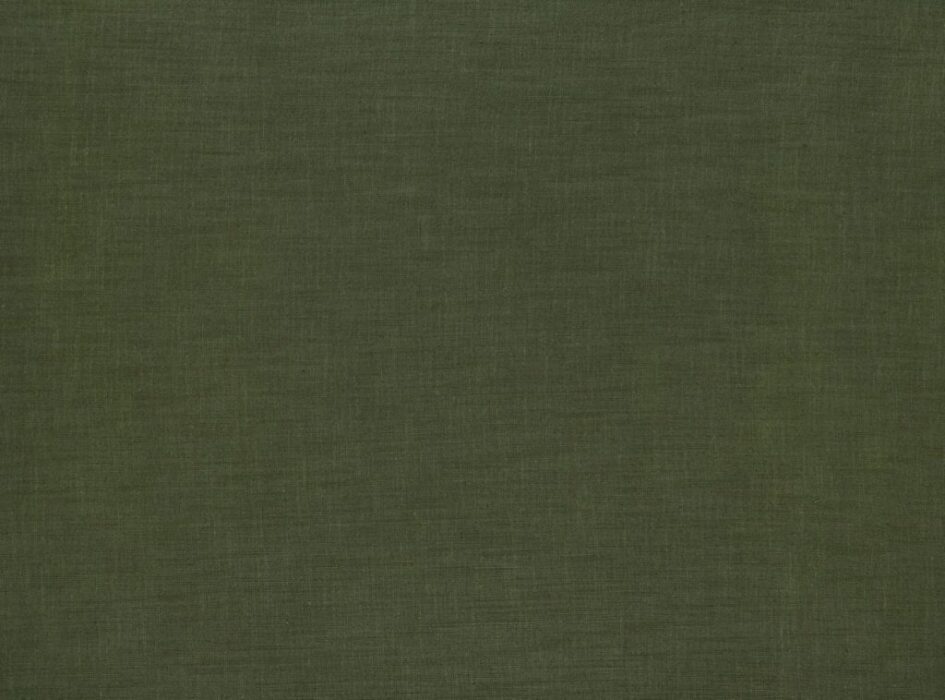 Image of Florenzo forest by Ashley Wilde