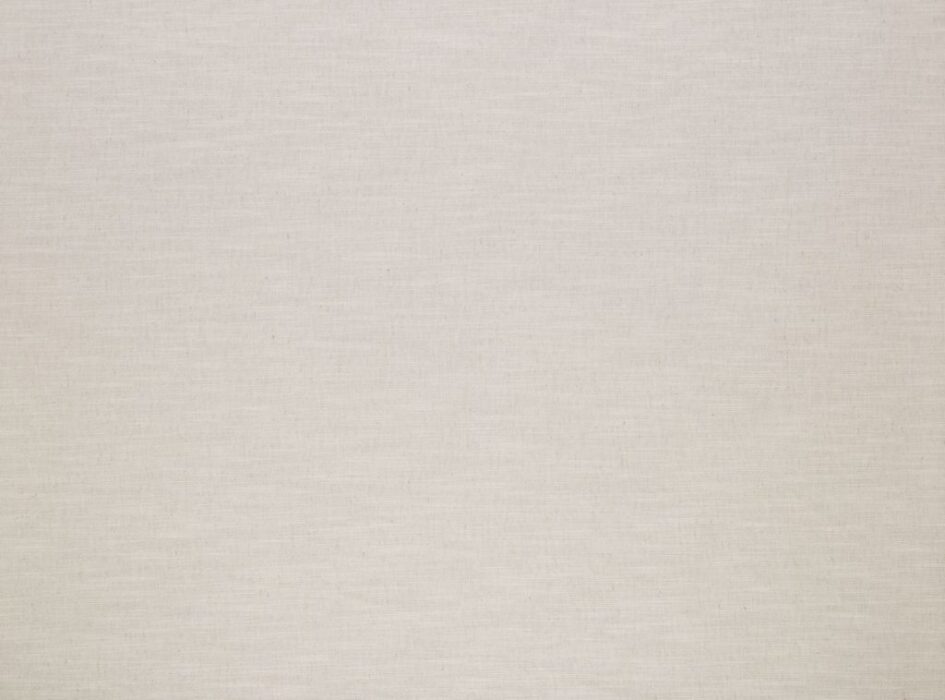 Image of Florenzo ivory by Ashley Wilde