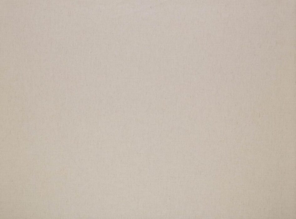 Image of Florenzo oyster by Ashley Wilde