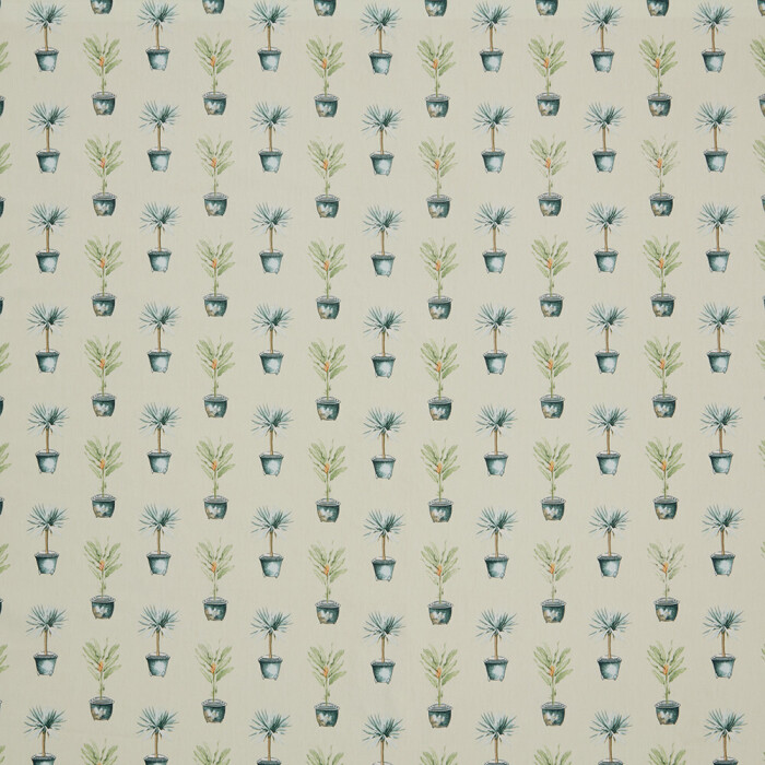 Image of Greenhouse pots spruce by iLiv