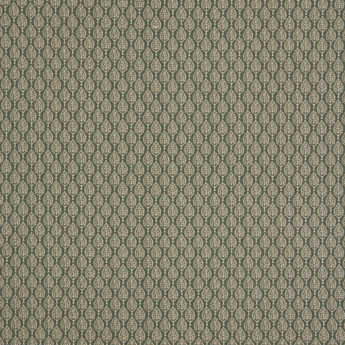 Image of Kemble spruce by iLiv