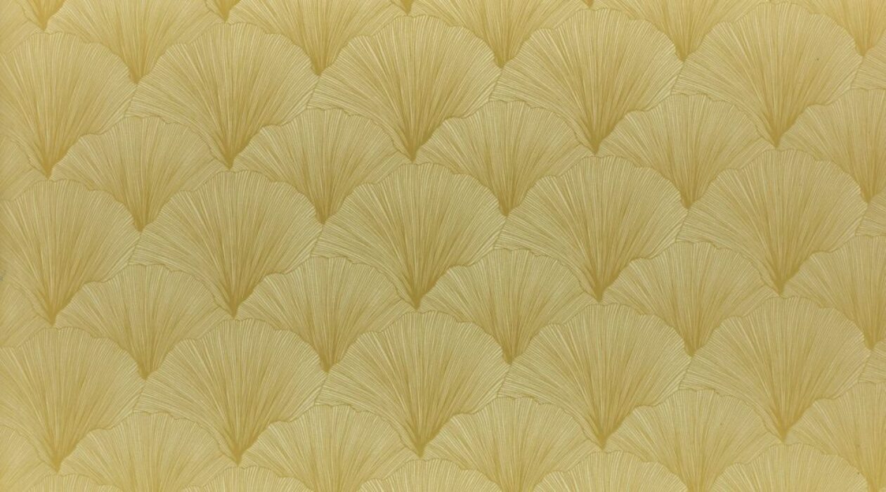 Image of maidenhair mimosa by Ashley Wilde