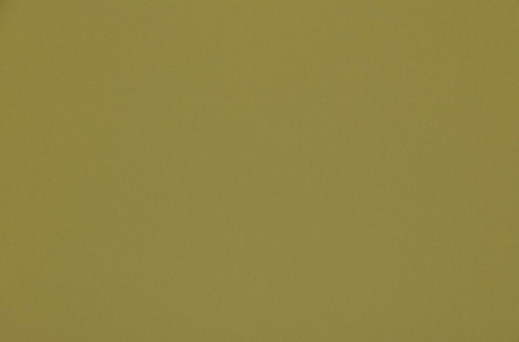 Image of omari lime by Ashley Wilde