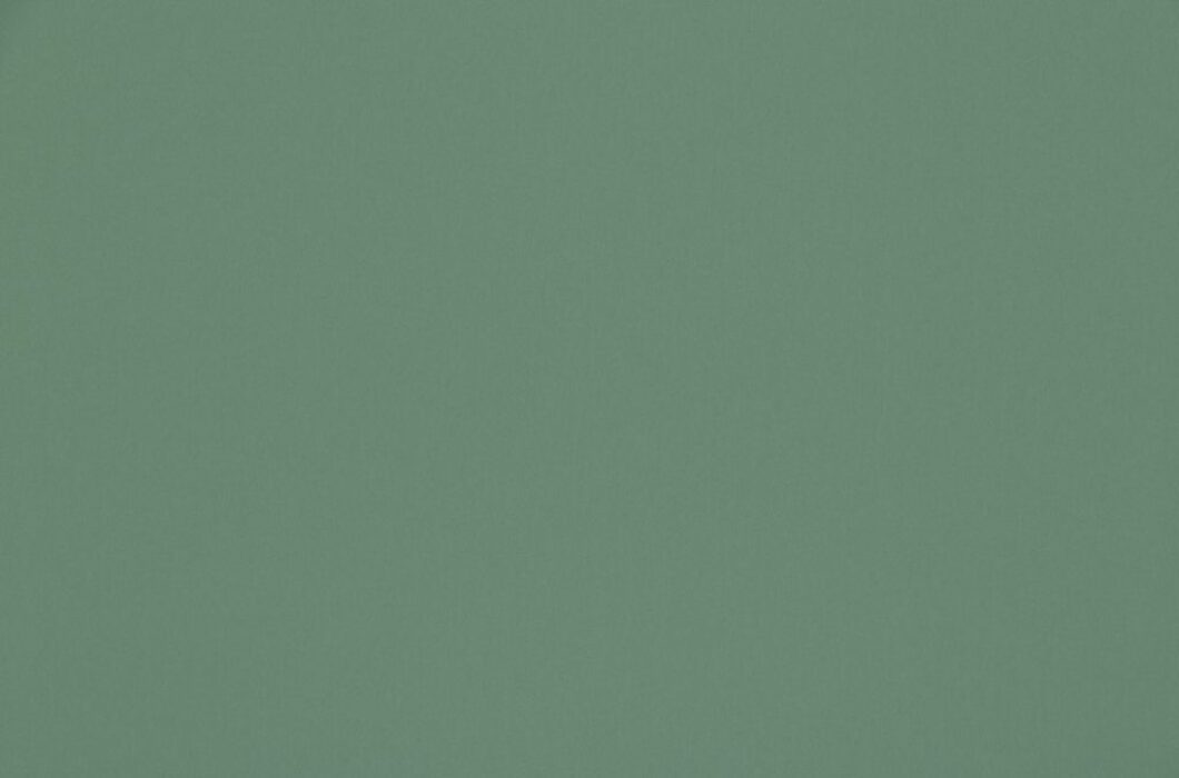 Image of omari mint by Ashley Wilde