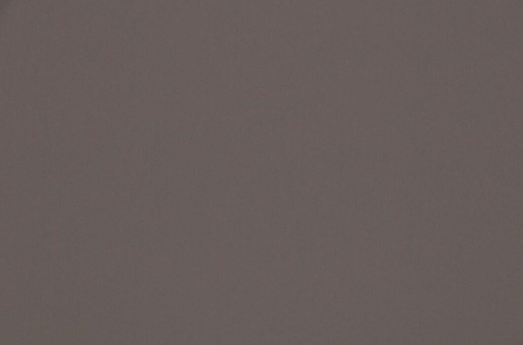 Image of omari mushroom by Ashley Wilde