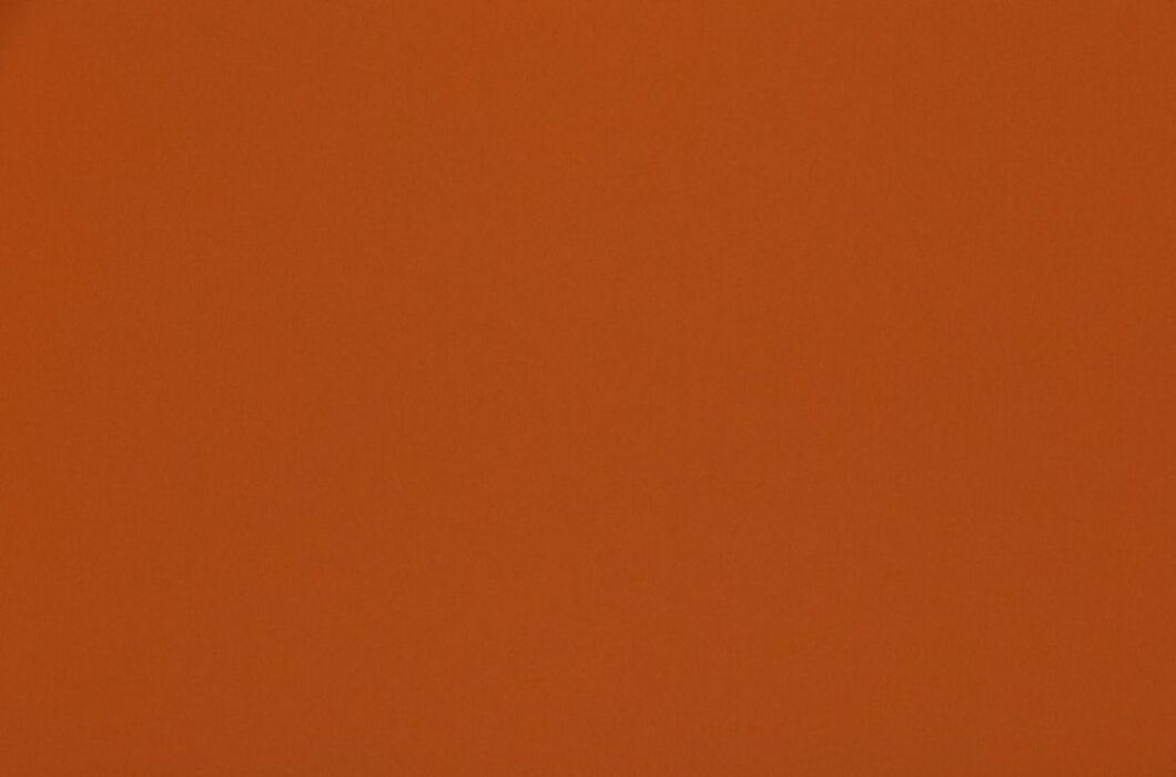 Image of omari nectarine by Ashley Wilde