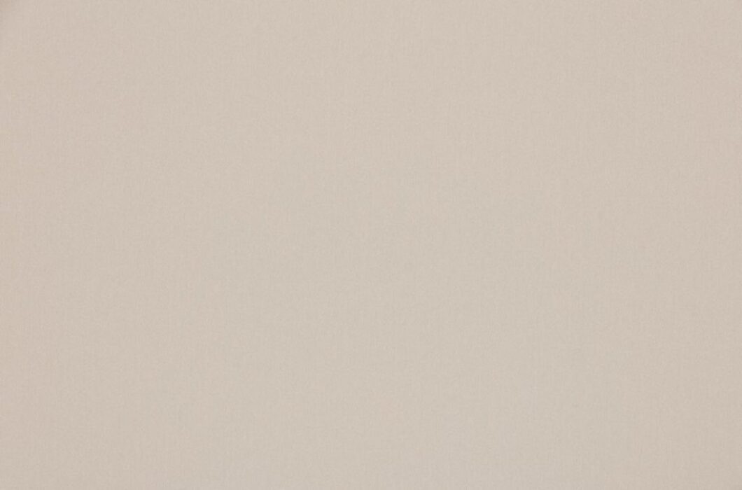 Image of omari oyster by Ashley Wilde