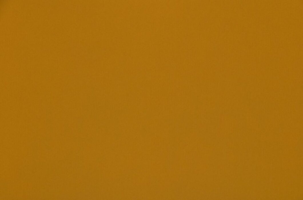 Image of omari saffron by Ashley Wilde