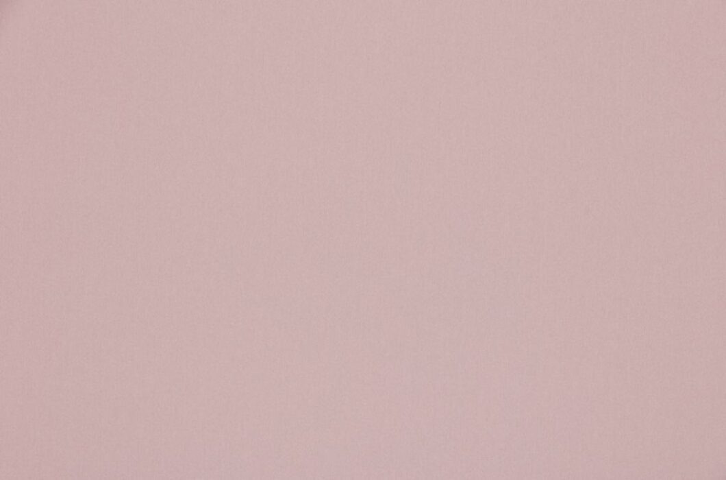 Image of omari shell by Ashley Wilde