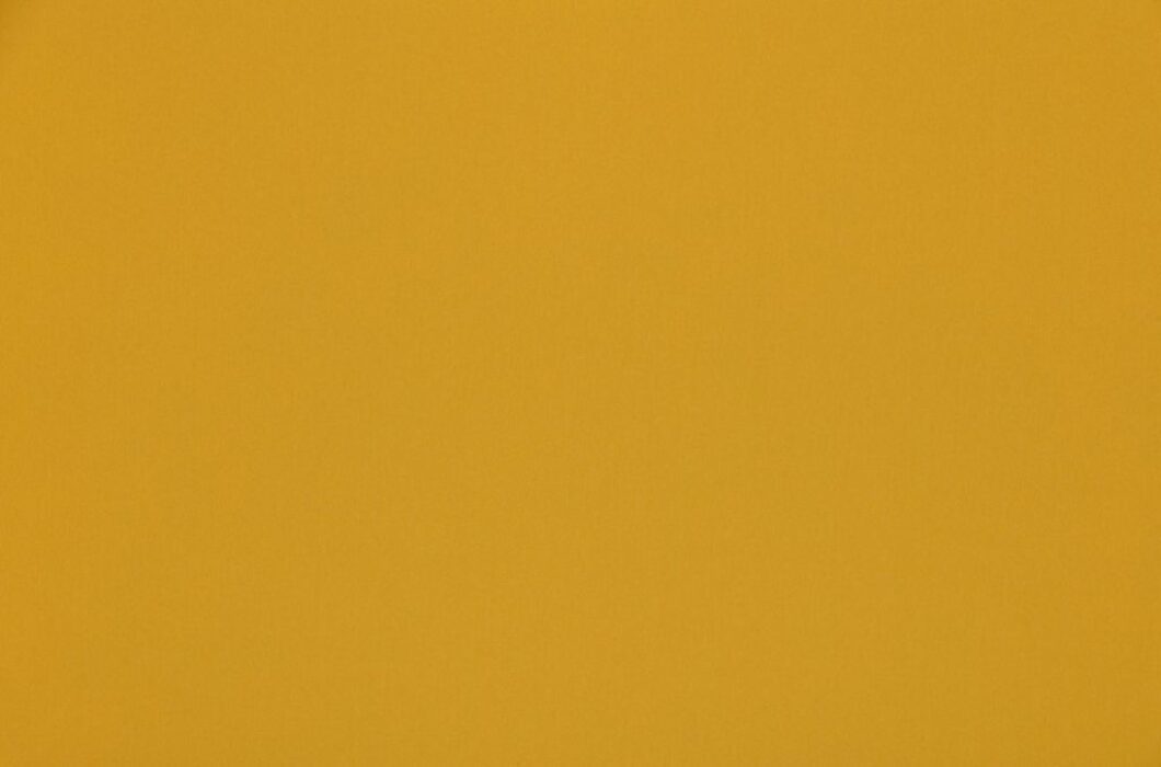 Image of omari sunflower by Ashley Wilde