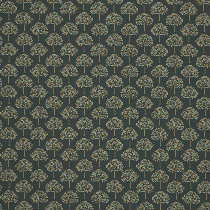 Image of orange grove pine by iLiv