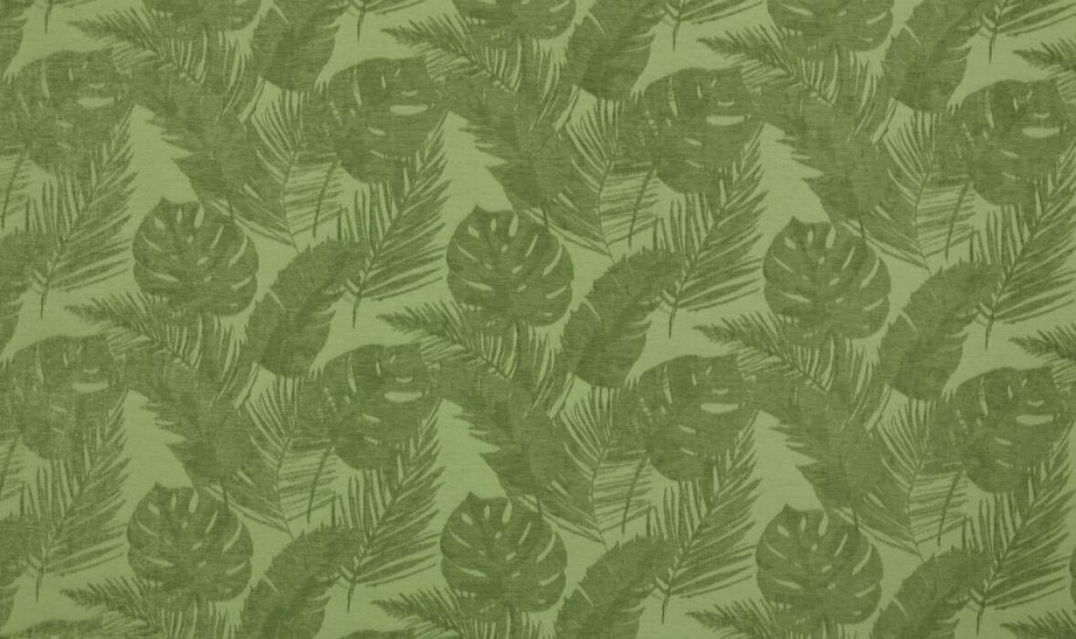 Image of palmetto kiwi by Ashley Wilde