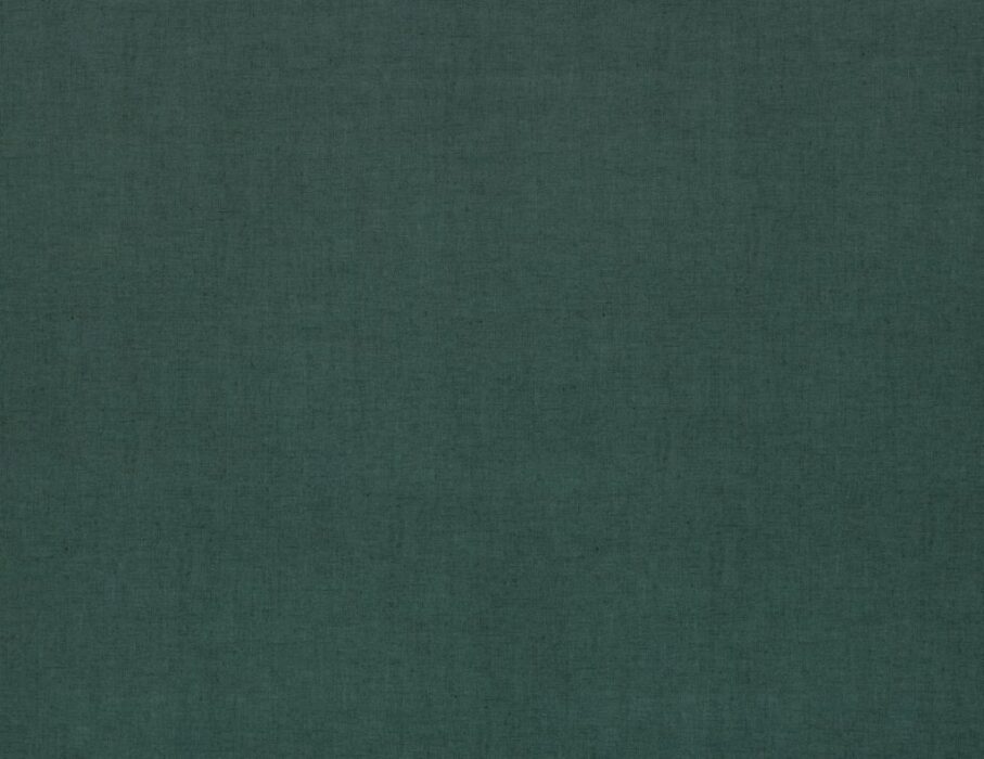 Image of Saluzzo forest by Ashley Wilde