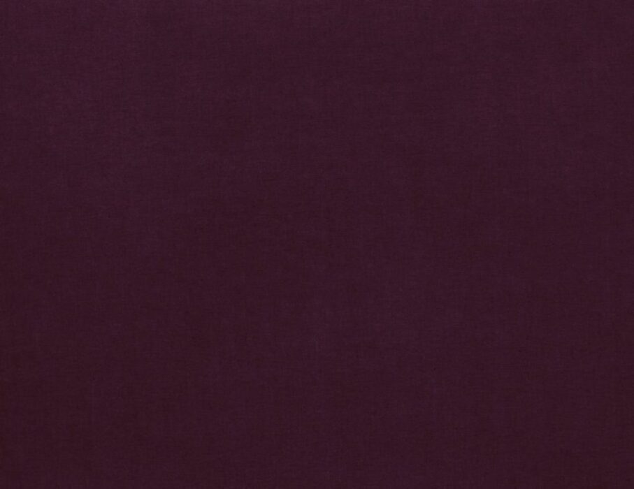 Image of Saluzzo mulberry by Ashley Wilde