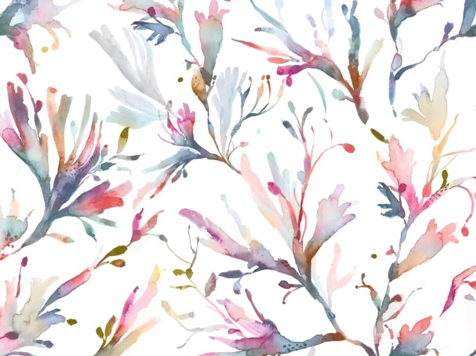 Image of seaweed abalone by Voyage