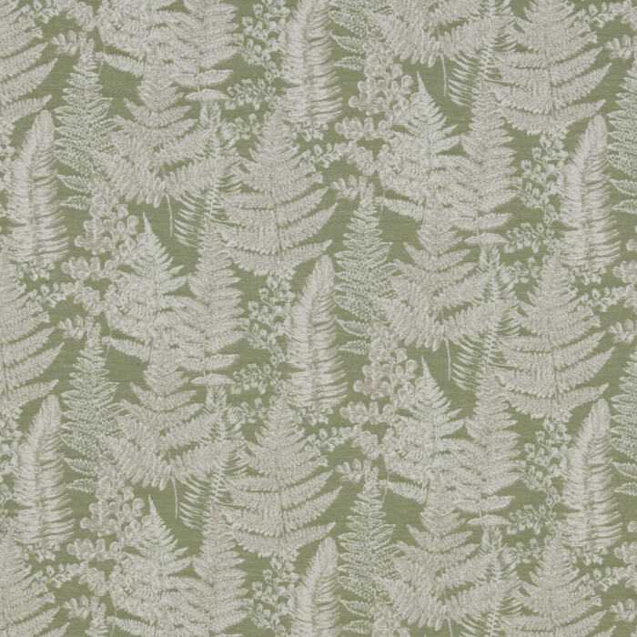 Image of Woodland Walk fern by iLiv