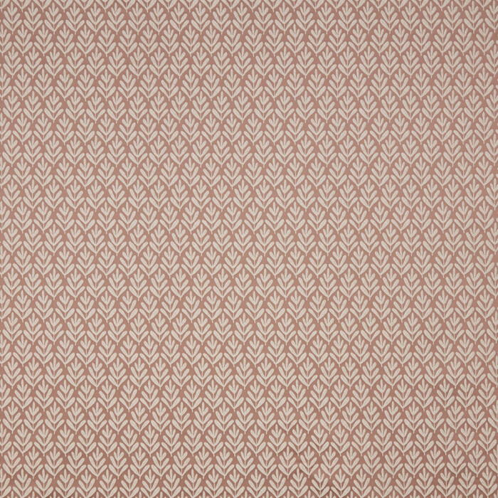 Image of wyre wildrose by iLiv